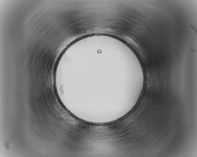 X0000102471280200809051324