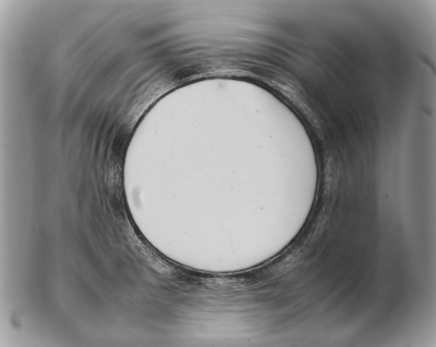 X0000102471281200809051324