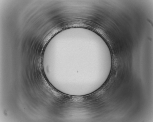 X0000102471282200809051324