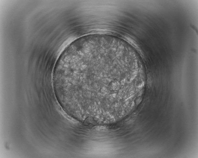 X0000102471283200809051324