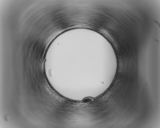 X0000102471284200809051324