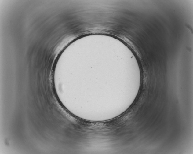 X0000102471285200809051324