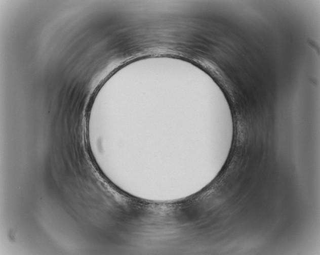 X0000102471286200809051324