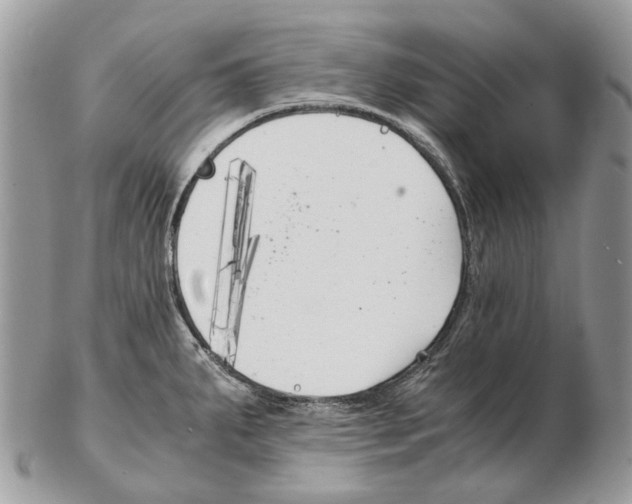 X0000102471287200809051324