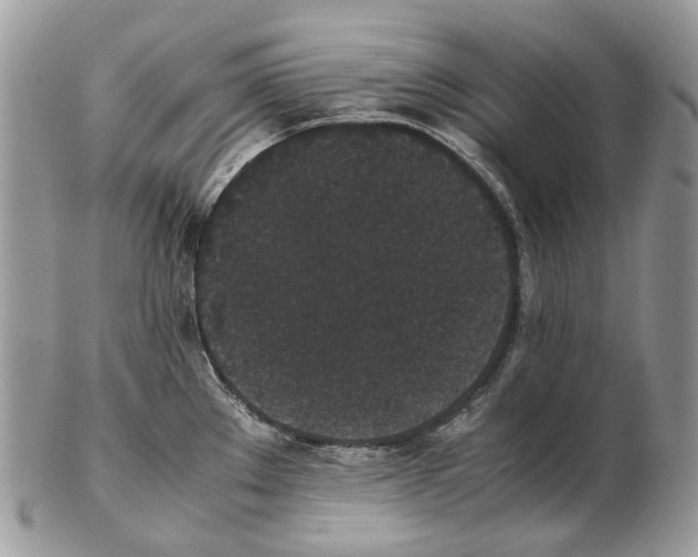 X0000102471289200809051324