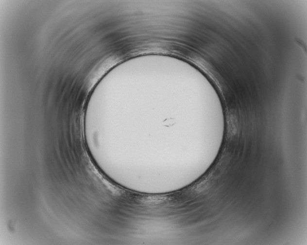 X0000102471290200809051324