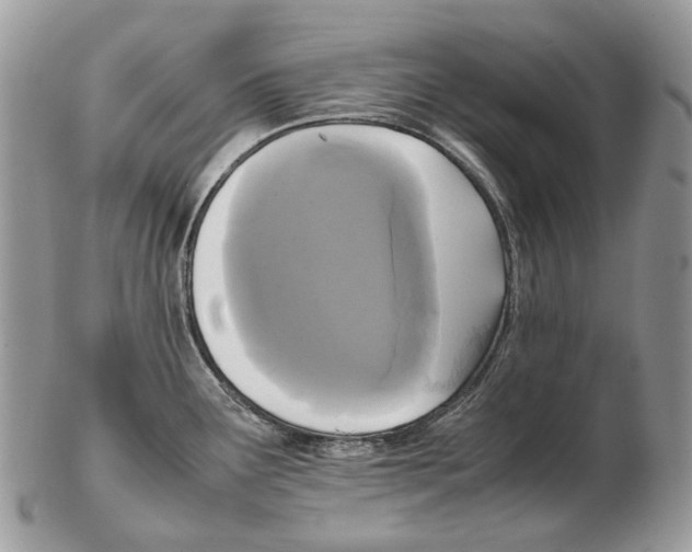 X0000102471291200809051324