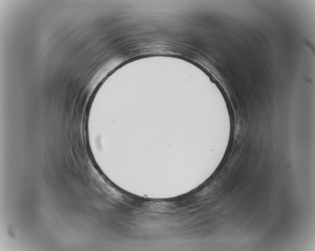 X0000102471293200809051324