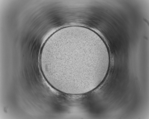 X0000102471294200809051324