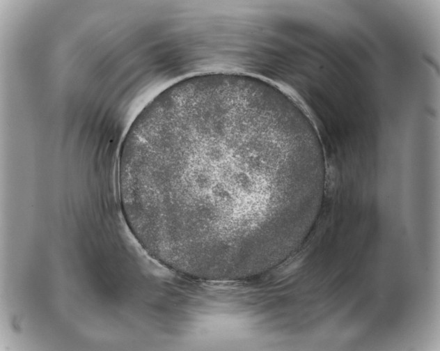 X0000102471295200809051324