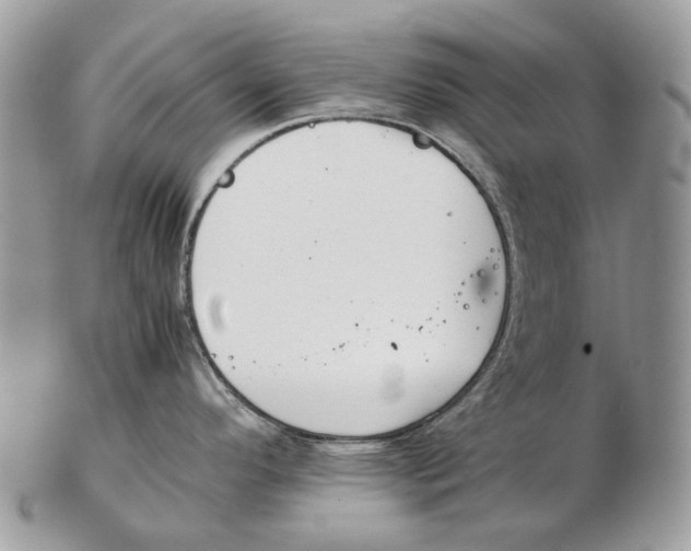 X0000102471296200809051324