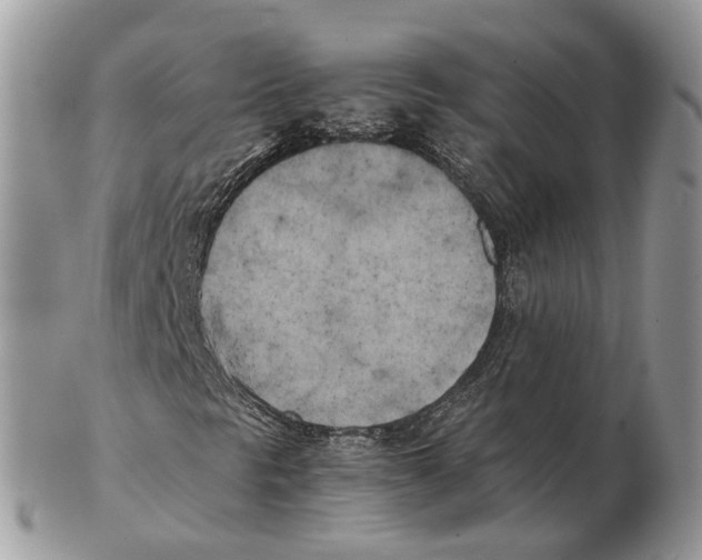 X0000102471297200809051323