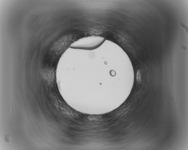 X0000102471299200809051323