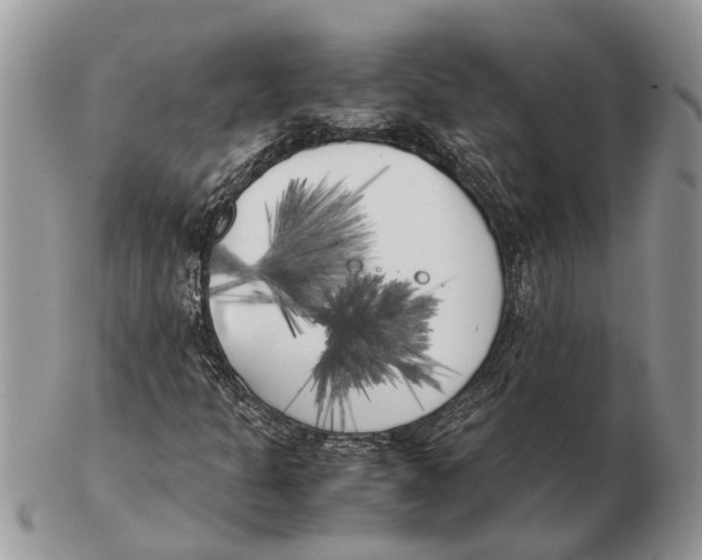 X0000102471301200809051323