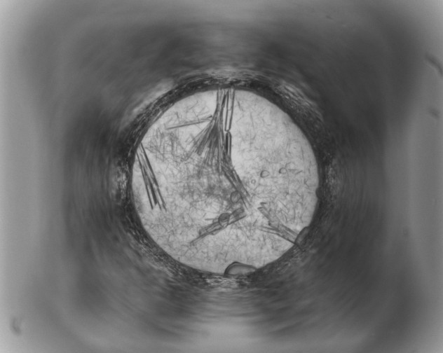 X0000102471302200809051323