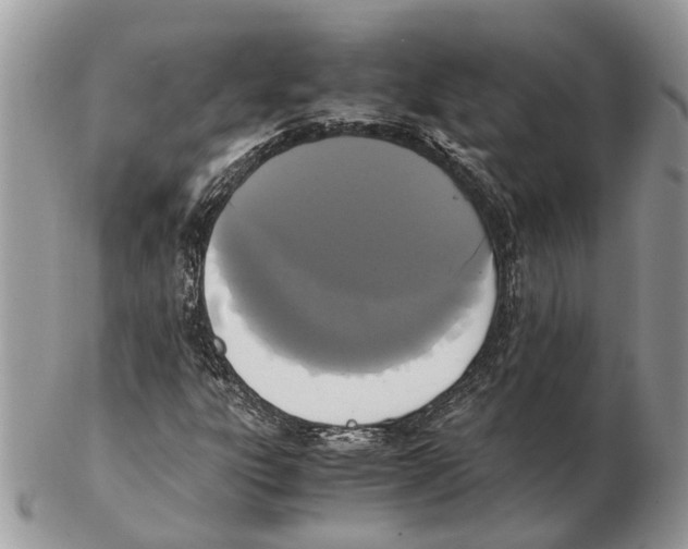 X0000102471303200809051323