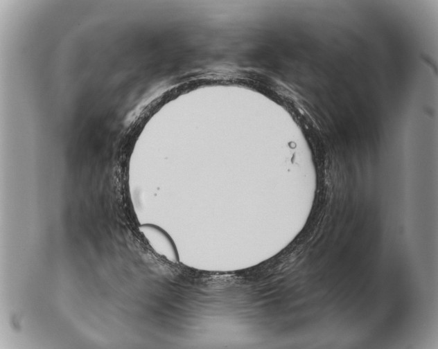 X0000102471304200809051323