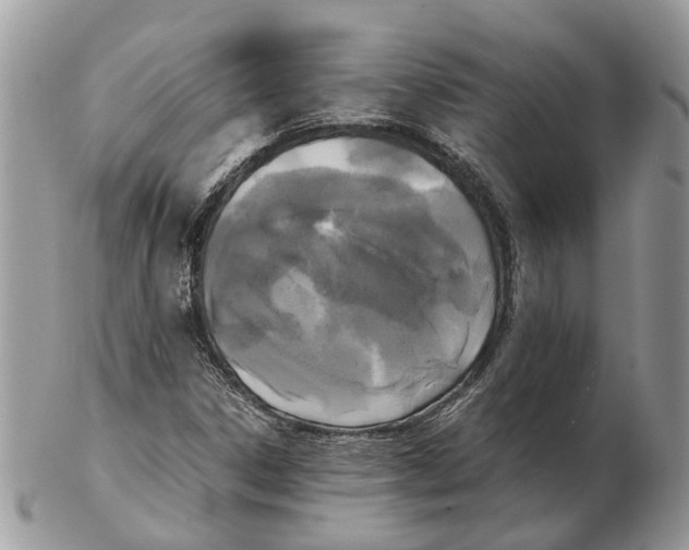 X0000102471306200809051323