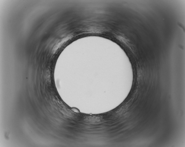 X0000102471307200809051323