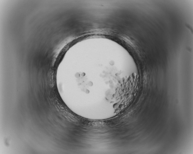 X0000102471310200809051323