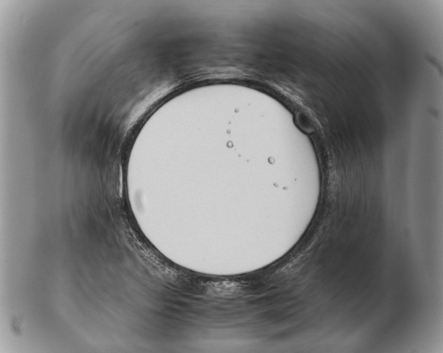 X0000102471317200809051324