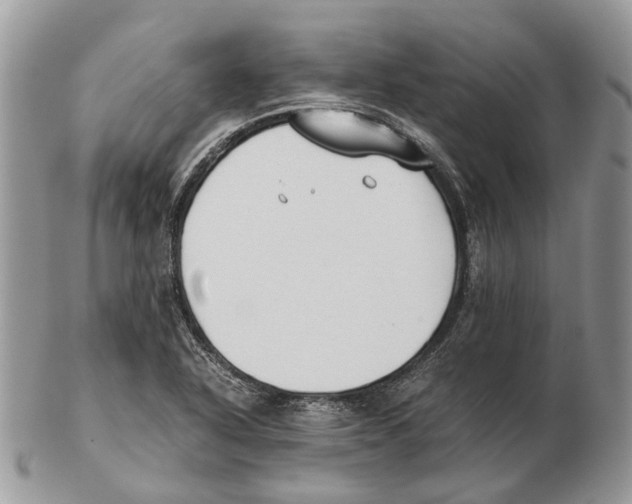 X0000102471318200809051324