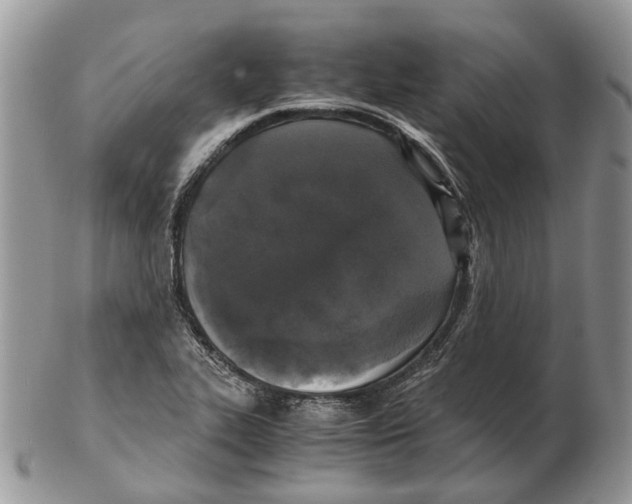 X0000102471319200809051324