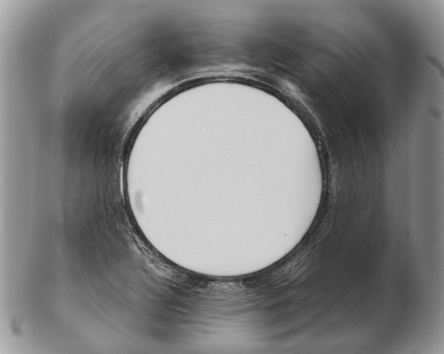 X0000102471320200809051324