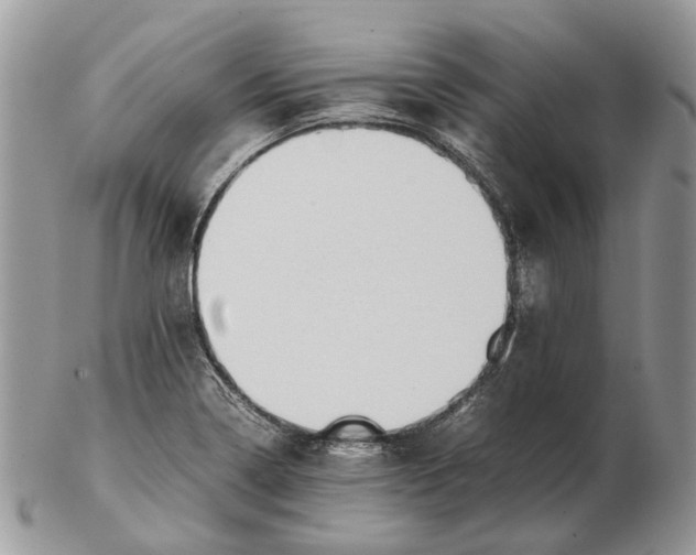 X0000102471322200809051324