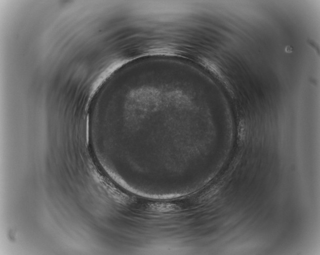 X0000102471323200809051324