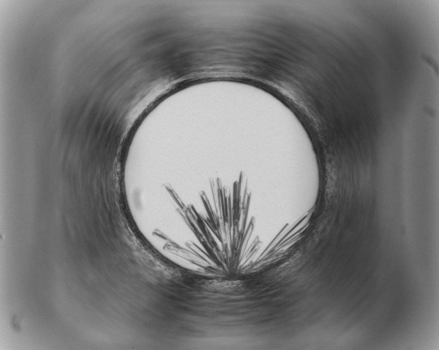 X0000102471325200809051324