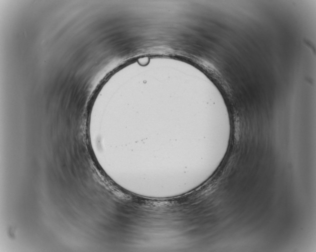 X0000102471326200809051324