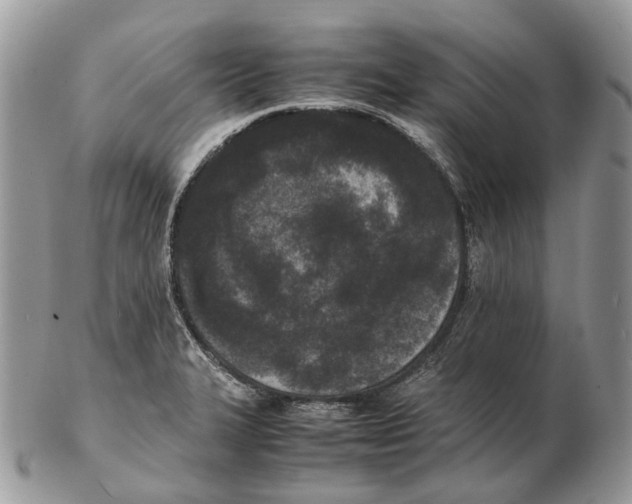 X0000102471327200809051324