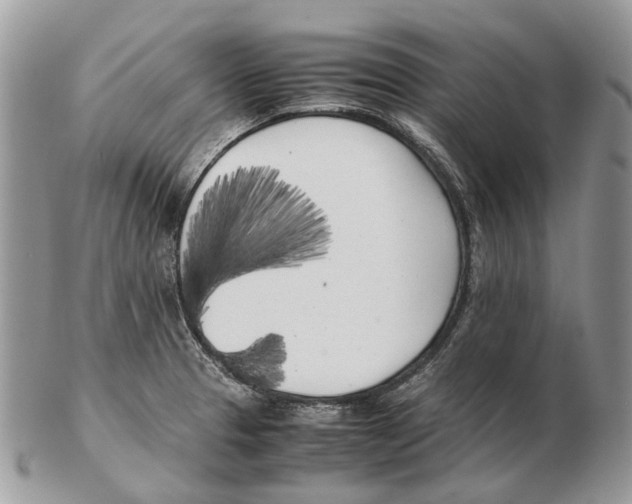 X0000102471329200809051324