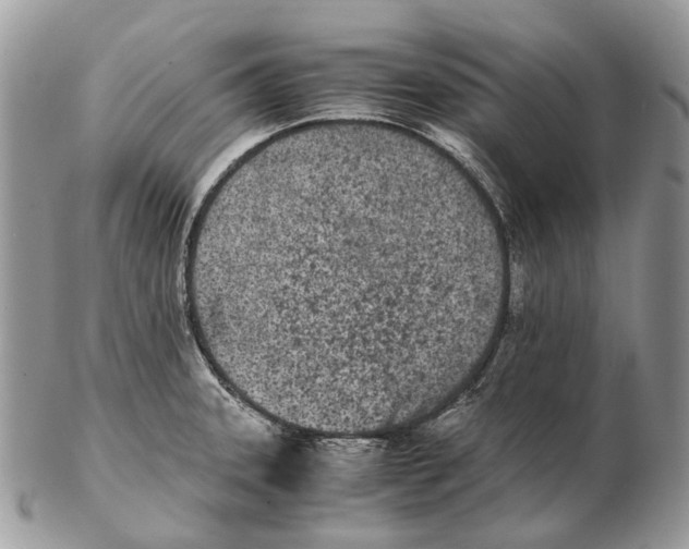 X0000102471331200809051324