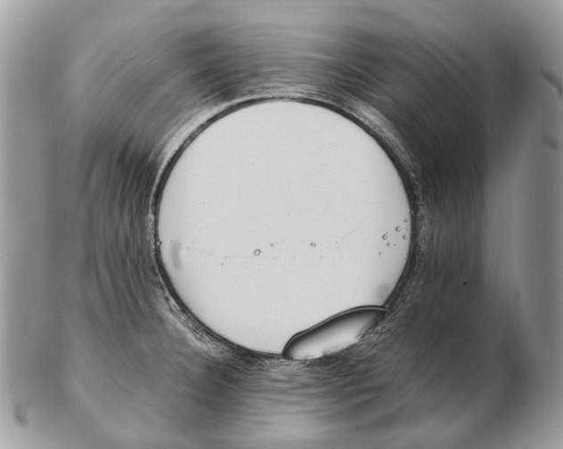 X0000102471332200809051324