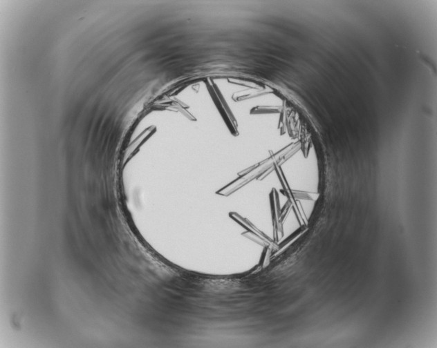 X0000102471333200809051324