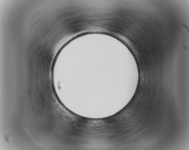 X0000102471335200809051324