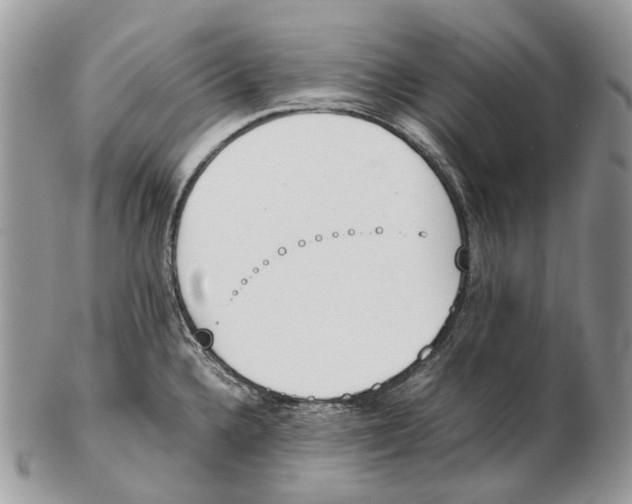 X0000102471336200809051324