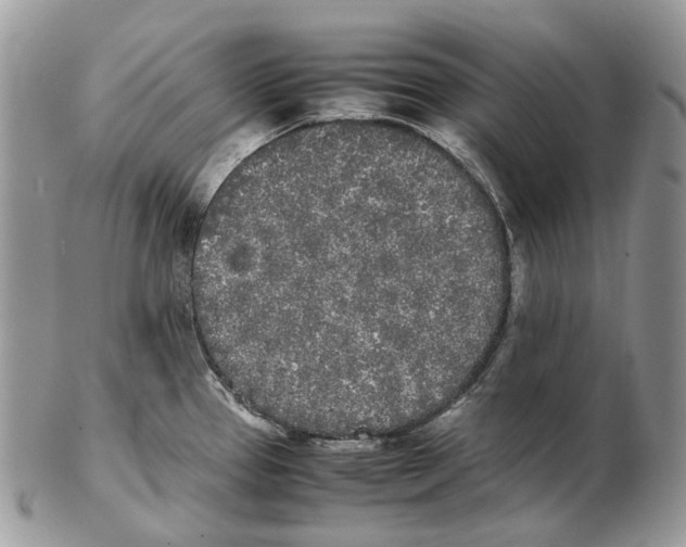 X0000102471337200809051324