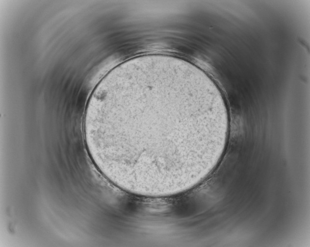 X0000102471338200809051324