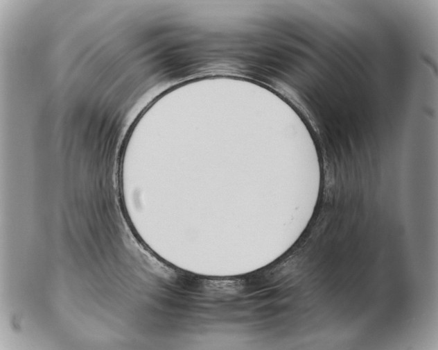 X0000102471339200809051324