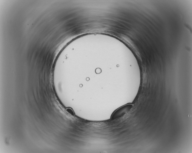 X0000102471340200809051324