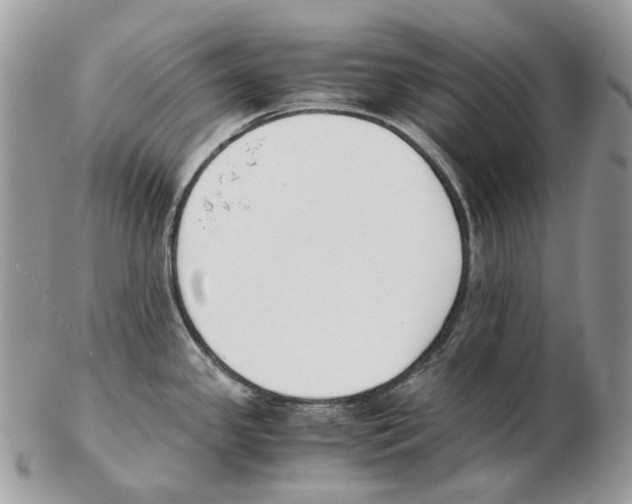 X0000102471341200809051324