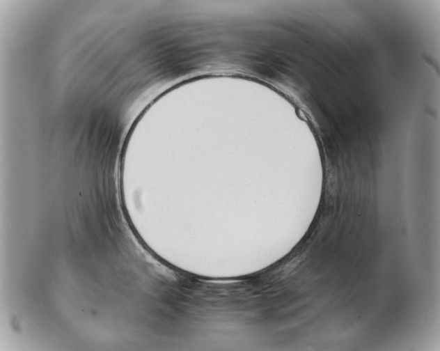 X0000102471343200809051324