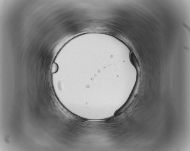 X0000102471344200809051324