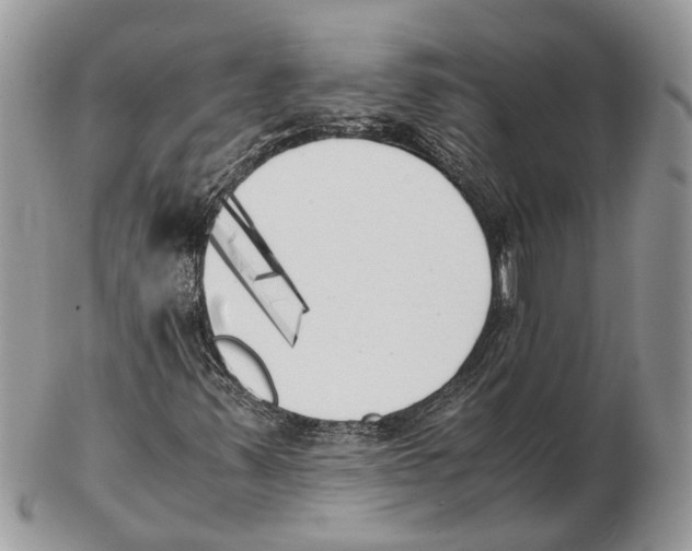 X0000102471347200809051323