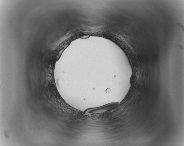 X0000102471350200809051323