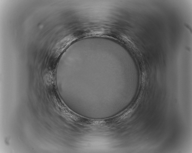 X0000102471353200809051323