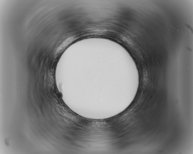 X0000102471354200809051323